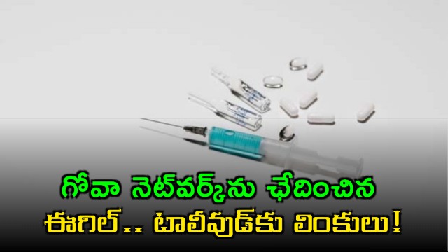 Hyderabad drug bust Eagle squad busts Goa network with Tollywood links