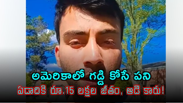 Lawn mowing job in USA 15 lakh salary and Audi car