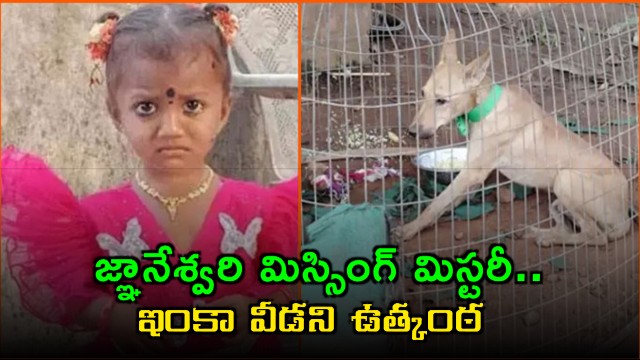 Jnaneswari missing mystery continues as CCTV footage of pet dog surfaces