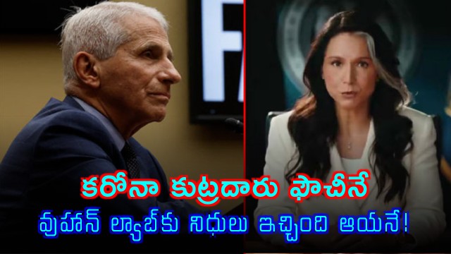 Tulsi Gabbard Alleges Anthony Fauci Funded Wuhan Lab and Conspired in COVID 19 Origin