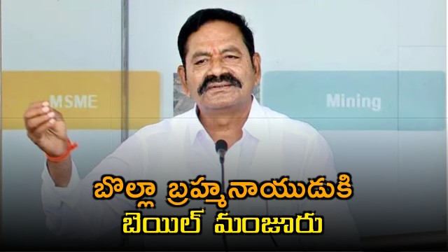 Bolla Brahmanaidu former YCP MLA granted bail in land grabbing case
