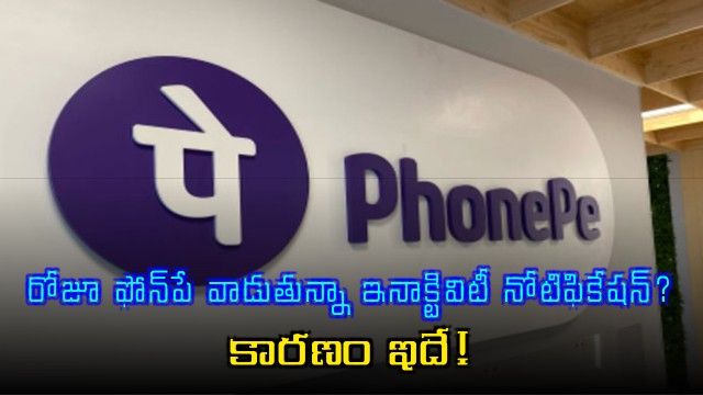 PhonePe Inactivity Notification Despite Daily Use Here Is The Reason