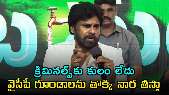 Pawan Kalyan issues strong warning against criminal activities in Andhra Pradesh