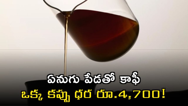 Coffee with elephant dung costs 4700 rupees per cup