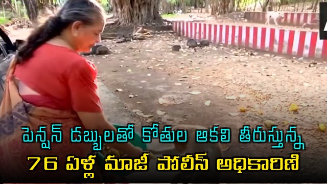 Retired police officer Malathi feeds hundreds of monkeys with her pension money