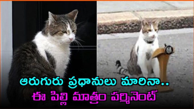 Larry the Cat remains permanent even as six UK Prime Ministers change