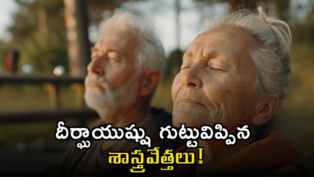 Scientists reveal the secret of longevity