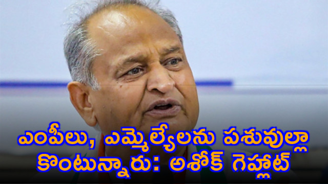 Ashok Gehlot says MPs and MLAs are being bought like cattle