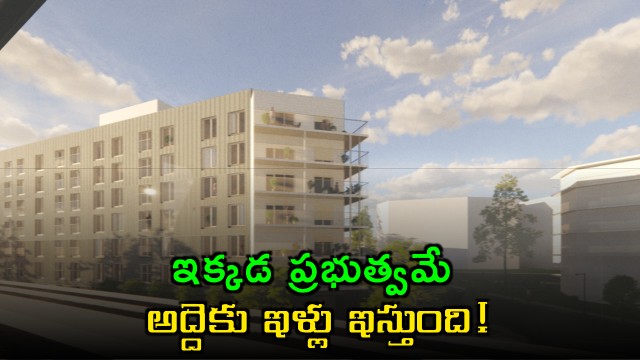 Here the government itself gives houses for rent