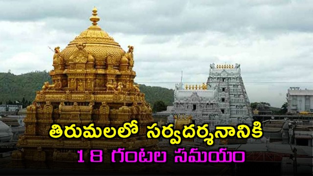 Tirumala Information 18 hours for Sarvadarshanam