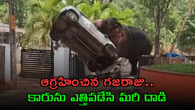 Wild Elephant Attacks And Destroys Car In Fit Of Rage