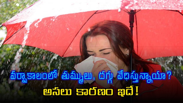 Monsoon Allergies Why sneezing and coughing increase during the rainy season