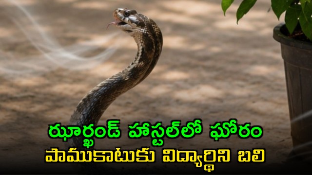 Jharkhand hostel tragedy student dies due to snake bite