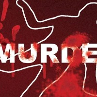 Brothers in Kurnool dist killed 