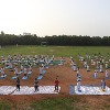 International Yoga Day at Telangana Forest Academy