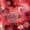 East Asia faced a coronavirus epidemic 20000 years ago
