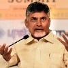 Chandrababu lauds students who secured better placements 