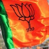 AP BJP announces state committees