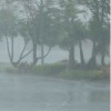 Heavy to Very Heavy Rains forecast today and tomorrow in Telangana