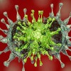 Two Variants Found At a Time in One Person The First Case Of Double Infection In India