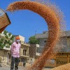 millets can check type 2 diabetes 