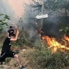 Algeria Wildfires Kill 42 Authorities Blame Arson
