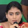 Be shameful KCR says Sharmila