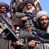 No country will be harmed from Afghan soil Taliban guaranteed