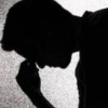 Young Boy attempt to Suicide after girls Harassment