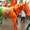 BJP colours painted on a horse in Indore