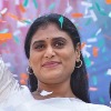 YS Sharmila requests media not to fall in KCR trap