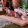 Bride And Groom Do PushUps Onstage In Viral Video