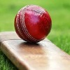 4th Test: Pujara, Sharma curb natural instincts to drive India ahead