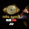 Big Boss Telugu 5 show contestants list