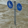 4 Indian-origin people, 3 Nepalis killed in NY floods