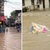 Heavy rains lashed out Rajannasircill dist