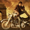 Pavan and Harish combo movie update