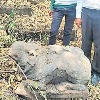 Mooshika statue found in Telangana