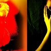 Mumbai woman raped, brutalised like 'Nirbhaya'; one nabbed