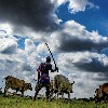 Over 70% Indian agri-households possess a hectare or less land: NSS data