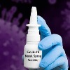Bharat Biotechs Covid Nasal Vaccine Shows Promising Results
