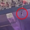fans rescue cat falling from balcony seats