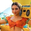 Tamannaah comes to grips with 'Telangana dialect' for 'Seetimaarr'