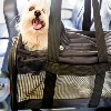 Furry Companion: Man books Air India business class cabin for pet dog