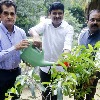 NITI Aayog CEO participates in Green India Challenge