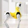 chinese company making viral unicorn robot