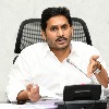 CM Jagan reviews on Amul Palavelluva