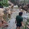 Tiger Safari of Hyderabad Zoo flooded, animals safe