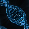 'Impinges on liberty, privacy': SC says can't force anyone for DNA test