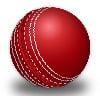 IPL 2021: Jaiswal, Dube fifties overshadow Gaikwad ton as Rajasthan win